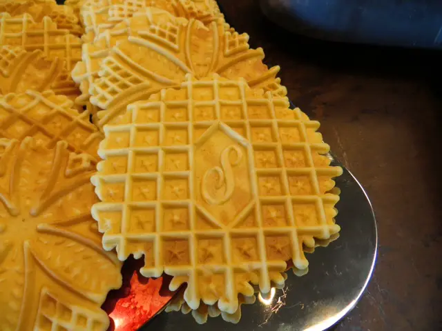 Where can I buy a pizzelle maker?