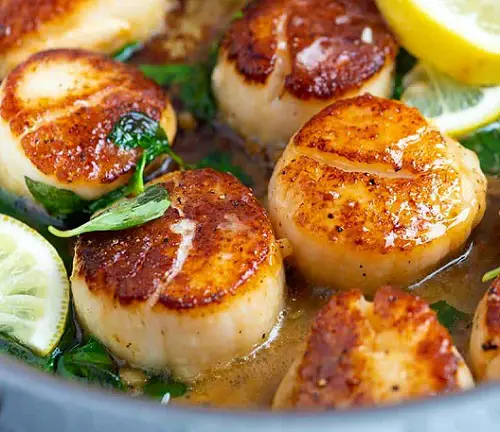 Scallops in Basil Sauce - everybodylovesitalian ...